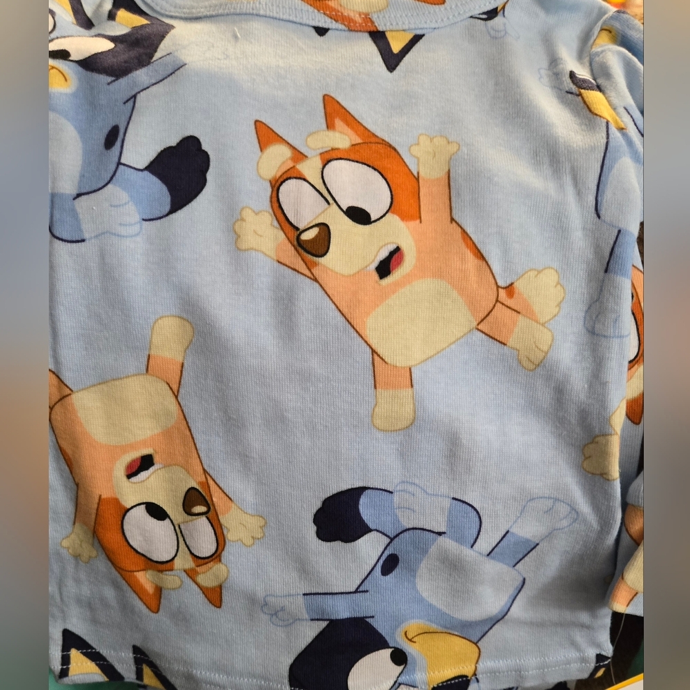 Bluey Character Pajama Sets